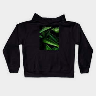 Sage Kids Hoodie